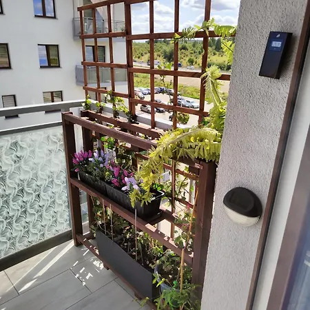 Apartament Zeusa